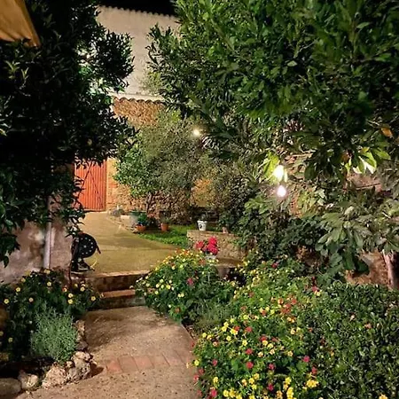 Casa Zelig *